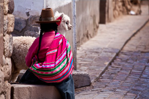 Viaggio in Perù: quando andare e cosa vedere | Allianz Global Assistance