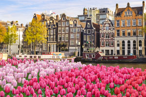 Festa dei tulipani di Amsterdam, la celebrazione più colorata dell'Olanda | Allianz Global Assistance